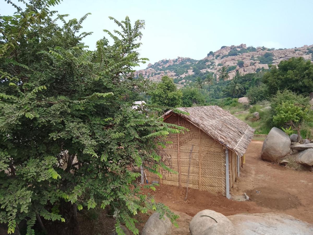 Monkey Paradise Hampi Dış mekan fotoğraf