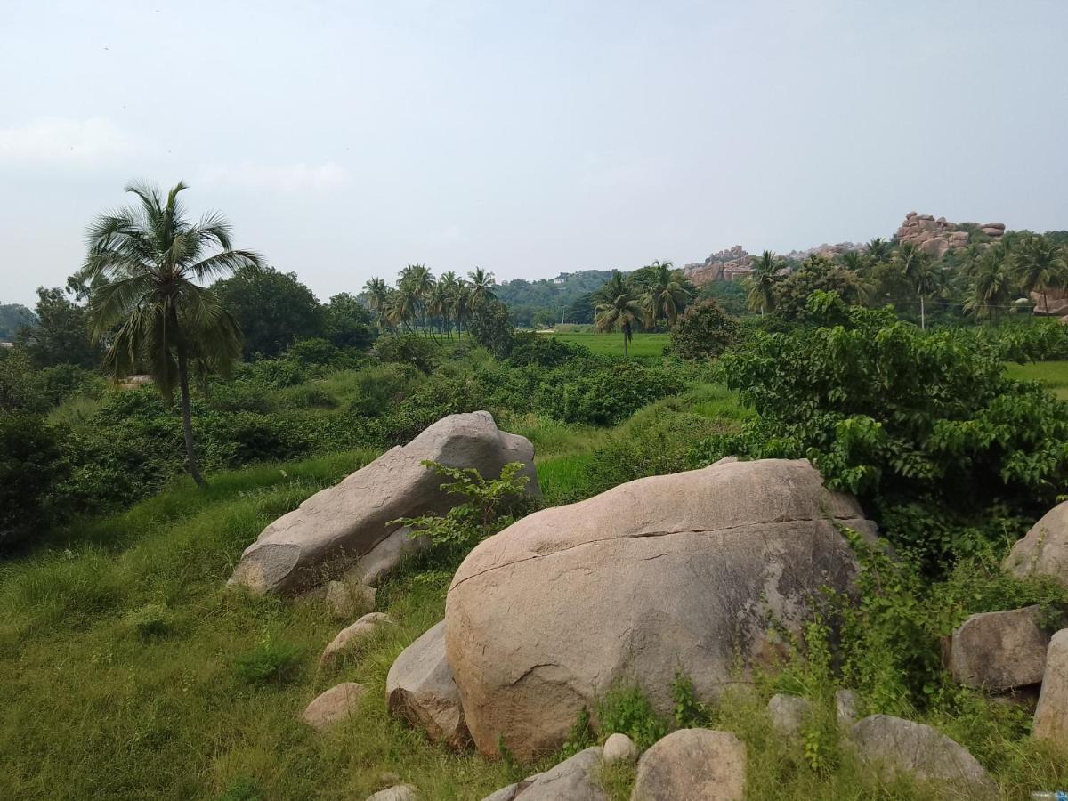 Monkey Paradise Hampi Dış mekan fotoğraf