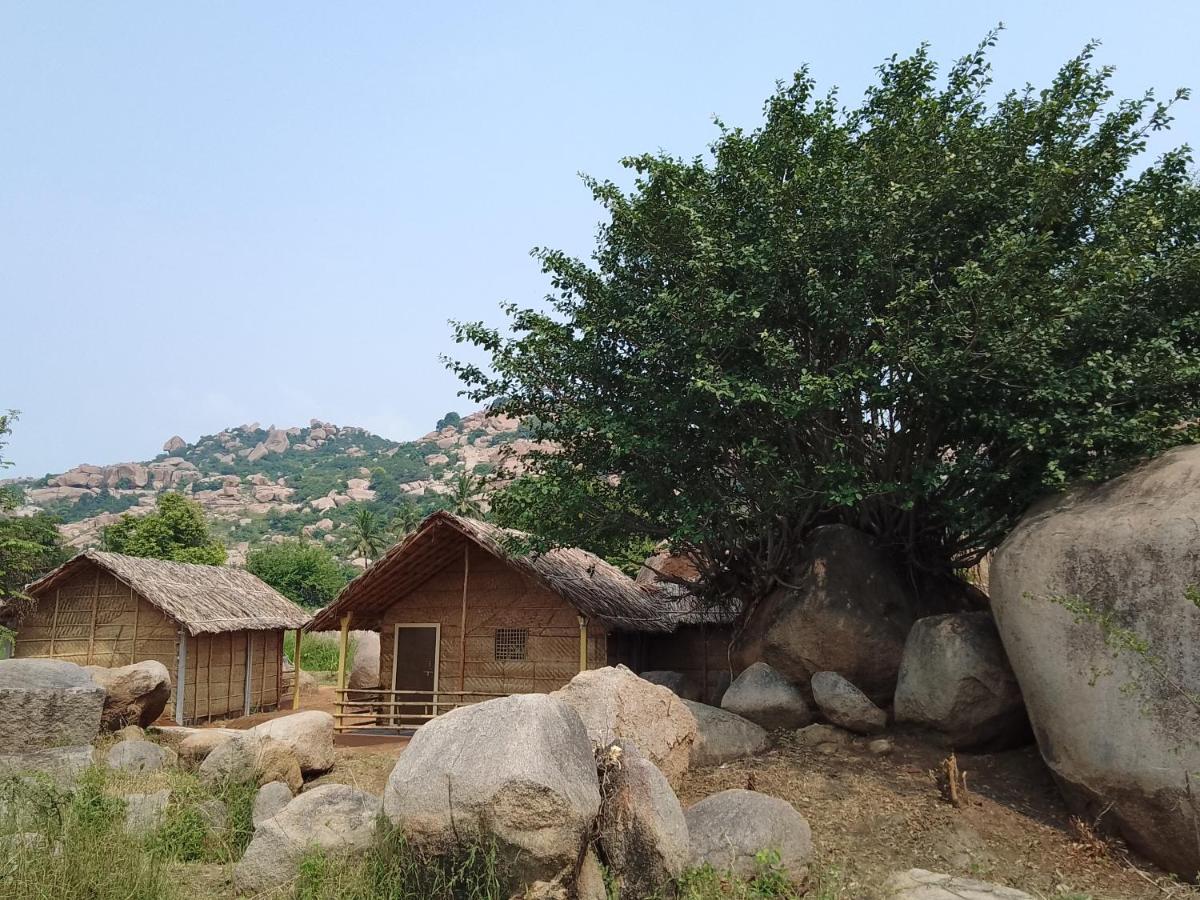 Monkey Paradise Hampi Dış mekan fotoğraf
