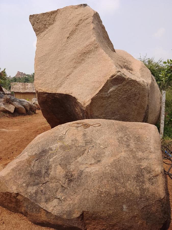 Monkey Paradise Hampi Dış mekan fotoğraf
