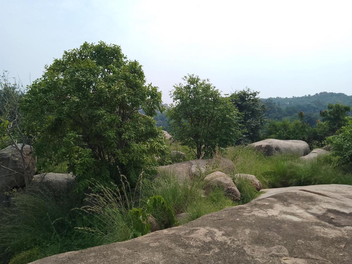 Monkey Paradise Hampi Dış mekan fotoğraf